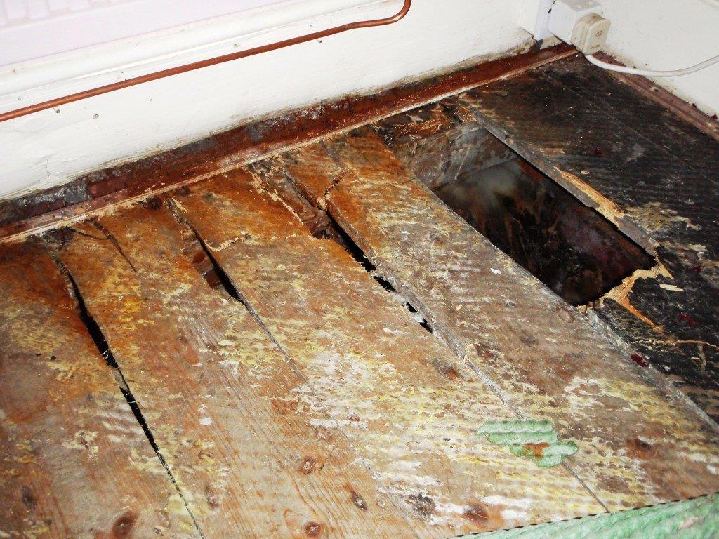 Rotten Floor Boards