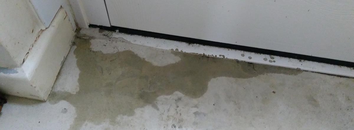 Floor  Damp